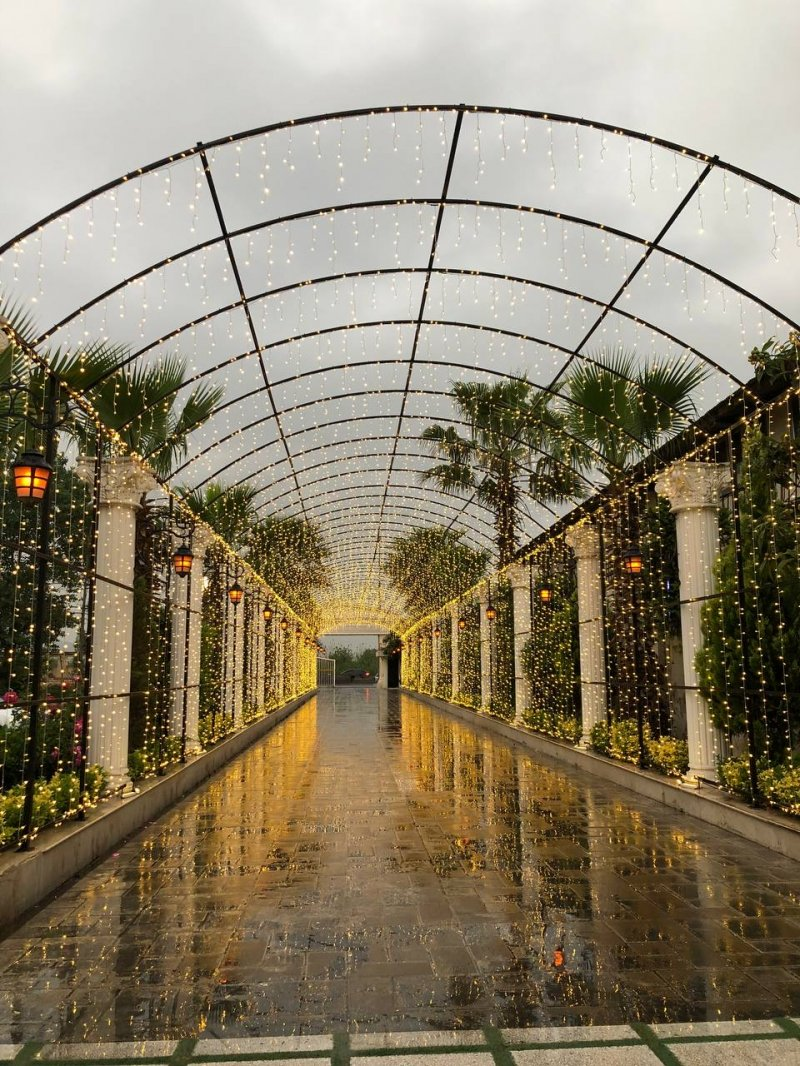 تالار گویا — تصویر 10